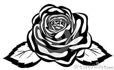 Abstract black and white rose. Close-up isolated Vector Illustration