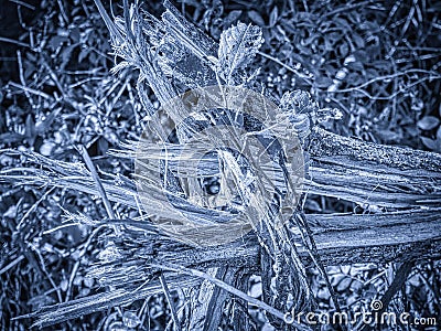 Abstract Black and White Splintered Wood Stock Photo