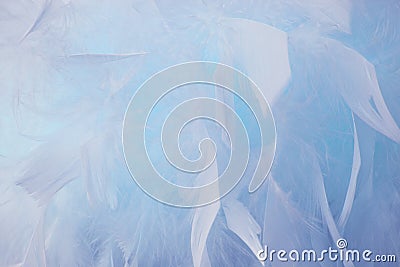 Abstract blue tone feathers background. Fluffy feather fashion design vintage bohemian style pastel texture Stock Photo