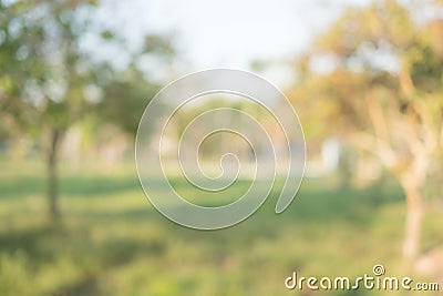 Abstract blur green color at garden for background,blurred and d Stock Photo