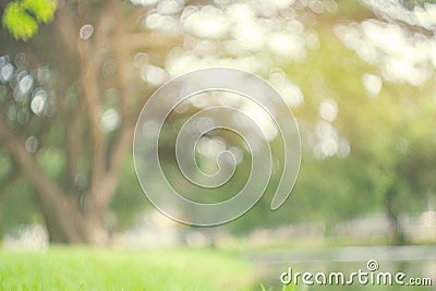 Abstract blur green park in spring outdoor background concept for blurry beautiful nature field, horizon autumn meadow scene, eco Stock Photo