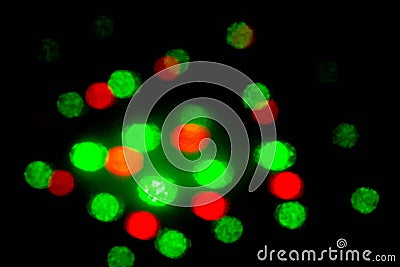 Abstract blur multi colors light on black background Stock Photo