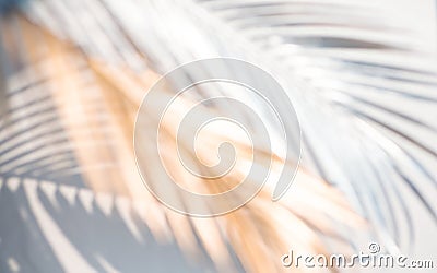 Abstract blur of tropical leaves pattern background.luxury palm leaf design with shadow.nature concepts ideas Stock Photo