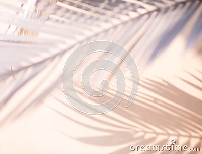 Abstract blur of tropical leaves pattern background.luxury palm leaf design with shadow.nature concepts ideas Stock Photo