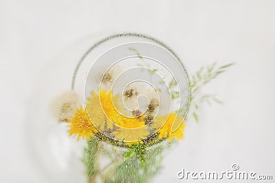 Abstract blurred background, dandelions in a round glass vase closeup on a windowsill near wet window, spring rainy day Stock Photo