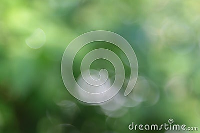 Abstract blurred beautiful natural background Stock Photo