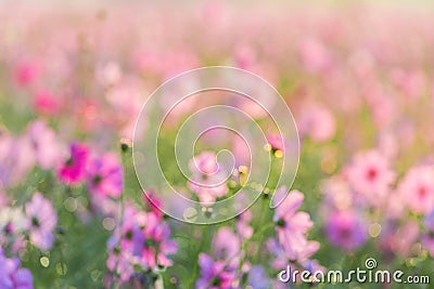 Abstract blurred beautiful nature Stock Photo