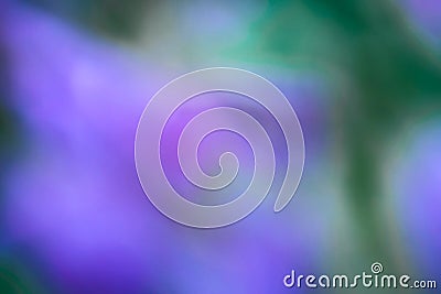 Abstract blurred colorful background, blue, violet and green Stock Photo