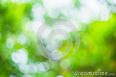 Abstract blurred green bokeh leaves background Stock Photo