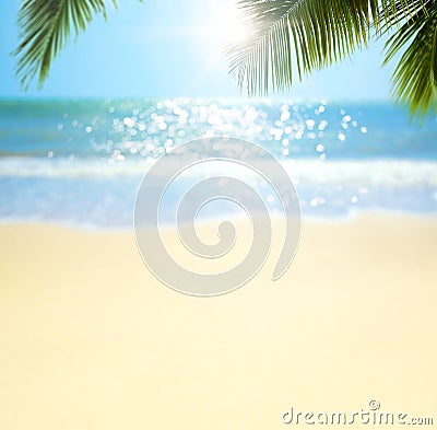 Abstract blurred summertime vacation background; sunny tropical beach with palm tree and sea waves Stock Photo