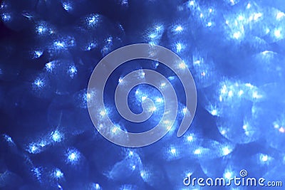 Abstract bokeh background. Christmas glowing blue bubbles background. Stock Photo