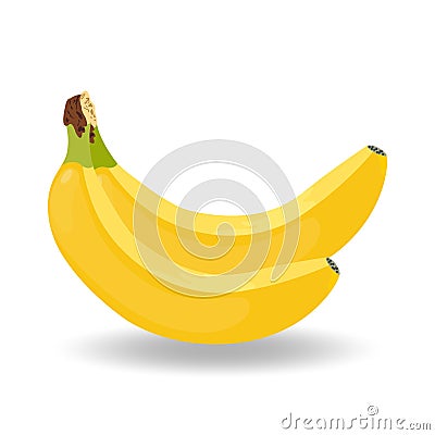 Abstract bunch bananas white background Vector Illustration