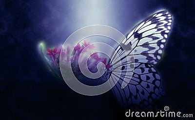 Abstract butterfly on flower Stock Photo