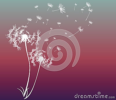 Abstract card with dandelions vector Vector Illustration