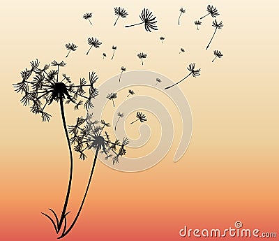 Abstract card with dandelions vector Vector Illustration