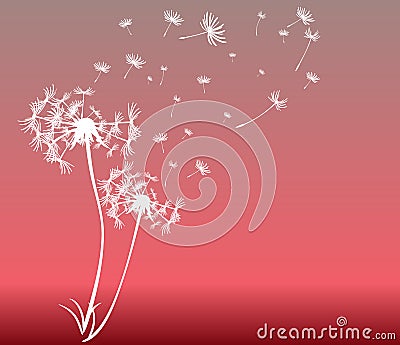 Abstract card with dandelions vector Vector Illustration
