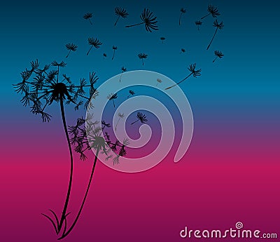 Abstract card with dandelions vector Vector Illustration