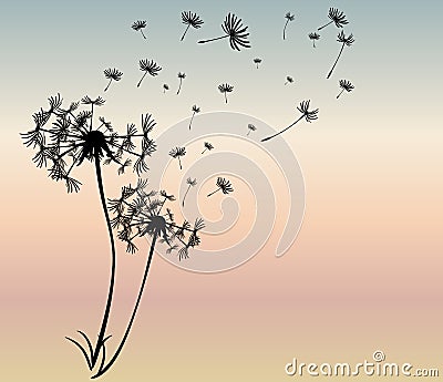 Abstract card with dandelions vector Vector Illustration