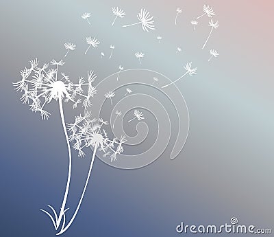 Abstract card with dandelions vector Vector Illustration