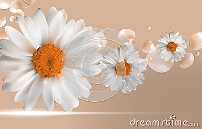 Abstract Chamomile Flowers Natural Spring and Summer Background Vector Illustration
