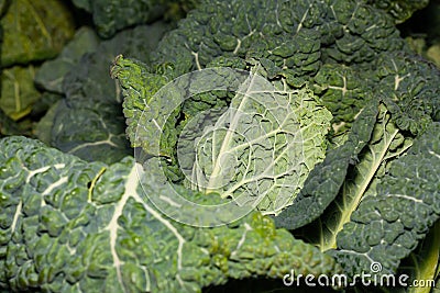 Close up of leaf cabbage leaves background Stock Photo