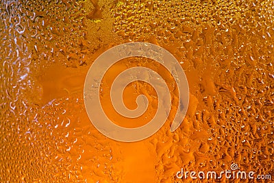 Abstract close up shot of backlit condensation on beer bottle / Stock Photo