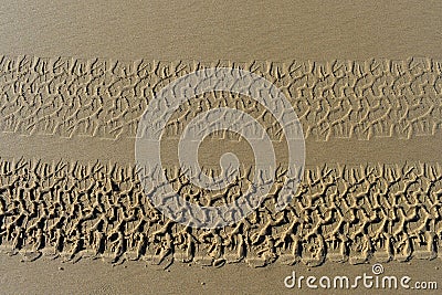 Abstract closeup four wheel drive tire imprints in wet sand closeup Stock Photo