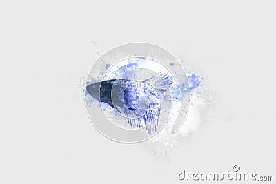 Abstract blue fish in ocean on watercolor paining background Stock Photo