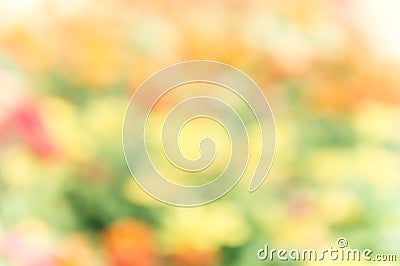 Abstract colorful mix nature blur background Stock Photo