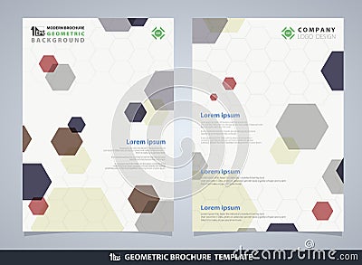 Abstract colorful pentagon geometric pattern brochure design template Vector Illustration