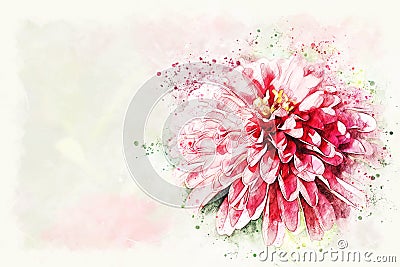 Colorful shape on pink flower blooming on watercolor illustration painting background. Cartoon Illustration