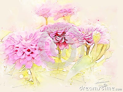 Pink flower blooming on watercolor illustration painting background. Cartoon Illustration