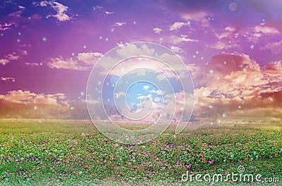 Abstract colourful dreamy like heaven sky with flowers field in Stock Photo
