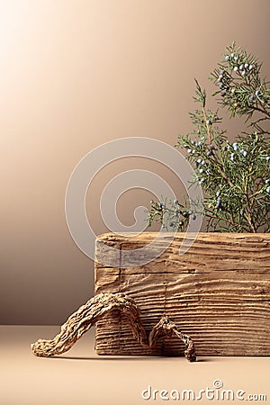 Abstract composition of old wooden plank and juniper branch Stock Photo