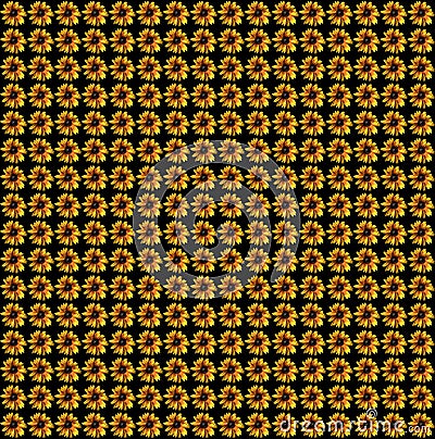 Abstract and contemporary digital art floral sunflower design Stock Photo
