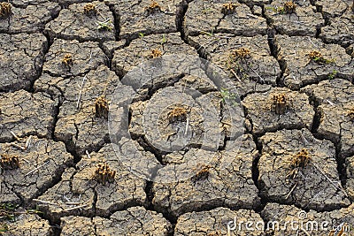 The abstract of the cracks of the ground according to the tropical climate Stock Photo