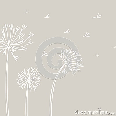 Abstract Dandelion Background with white flowers on beige background. Stock Photo