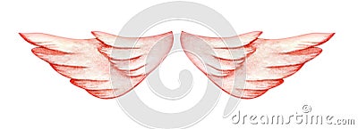 Abstract decorative element. The little wings of the angel are gently pink. Hand-drawn watercolor illustration on Cartoon Illustration