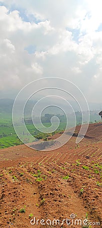 Plowed hillside - stock photo Stock Photo