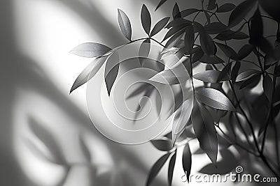 an abstract depiction of shadows with fluid shapes and contrasting tones creating a mysterious visual effect Stock Photo