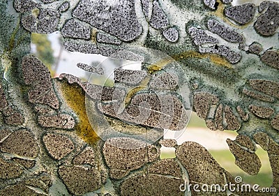 Bronze reptile skin window scrached paint surface background Stock Photo