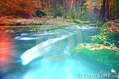 Abstract dreamy forest, colorful background of nature Stock Photo