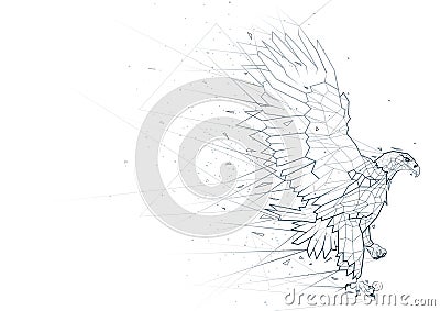 Abstract Eagle Low Poly Wireframe Vector Illustration