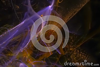 Abstract energy texture explosion graphic creativity movement effect chaotic explosion illuminated design background rendering Stock Photo