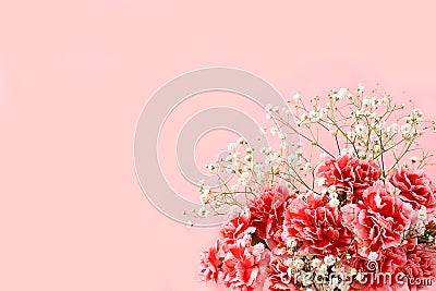 Abstract floral composition, spring background. Carnations on pink background, minimal holiday concept. Postcard for womens day or Stock Photo