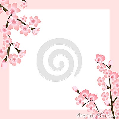 Abstract Floral Sakura Flower Japanese Natural Background Vector Illustration Vector Illustration