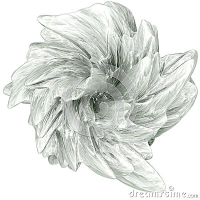 Abstract flower Stock Photo