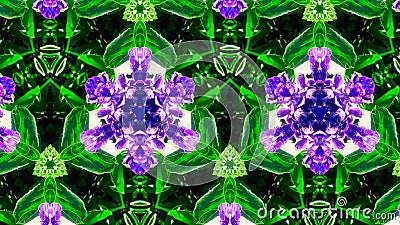 Abstract flower pattern and shape Stock Photo