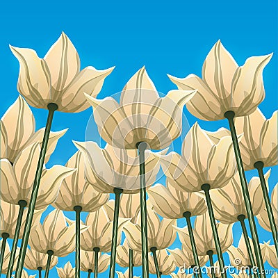 Abstract flowers, bottom view against the blue sky, vector illustration, colorful drawing. Drawn yellow white buds, petals Vector Illustration