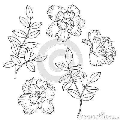 Abstract flowers and branches with leaves. Hand drawn vector illustration. Monochrome black and white ink sketch. Line art. Cartoon Illustration